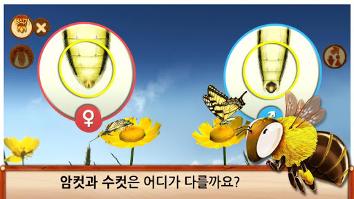 【免費教育App】하늘의 곤충친구들(FREE)-APP點子