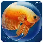 Cover Image of ดาวน์โหลด Dream Fish Seasons 3.70 APK