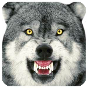 How To Draw Cartoon Wolf logo