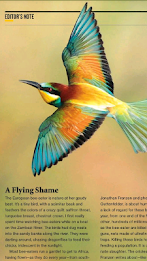 World Magazines poster 6