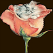 Cat Rose Live Wallpaper