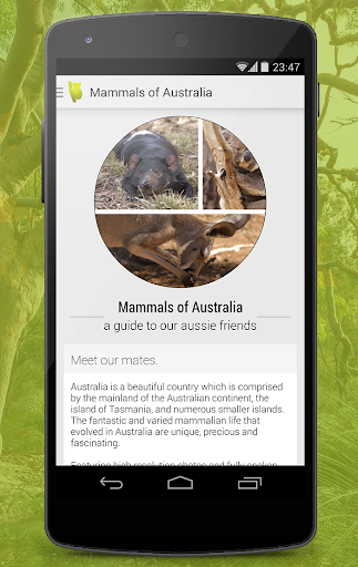 Mammals of Australia