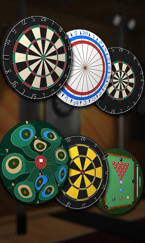 Pro Darts 2014 - screenshot