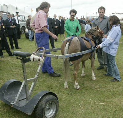 HRH Princess Anne studying and early Saddlechariot at the Royal Cornwall Show