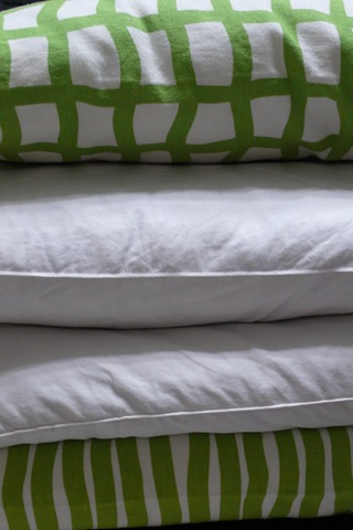 [IKEA Pillow[4].jpg]