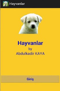 Hayvanlar