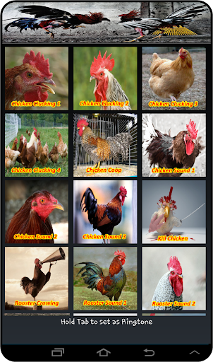 Chicken Soundboards