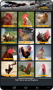 Free Chicken Soundboards APK for Android