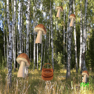 Free Download mushrooms and busket APK for Android