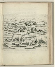 Aanval door drie ijsberen op de sloepen, 1597