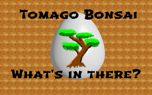 Tomago Bonsai