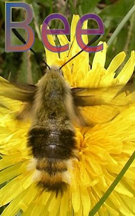 Common Word Endings 2 FREE - náhled