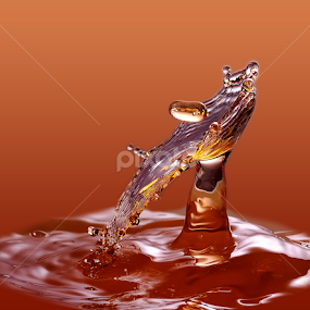 In the womb by Nirmal Kumar - Abstract Water Drops & Splashes