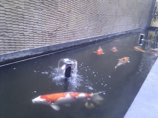 Fishpond Thamrin Tower