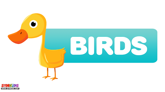 How to download Birds 1.0.0 unlimited apk for android