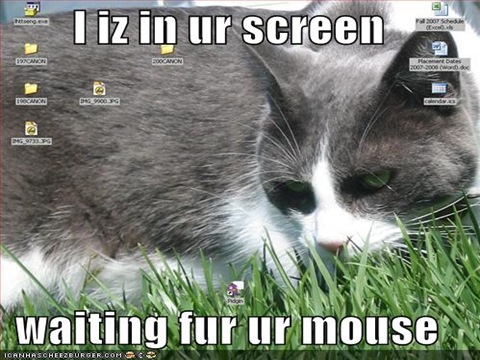 funny-pictures-cat-screen-mouse