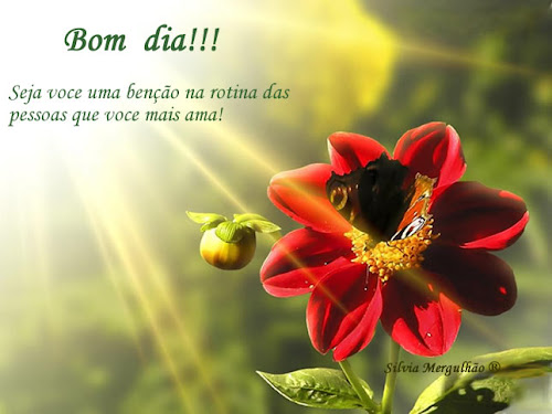 FLOR+6.jpg