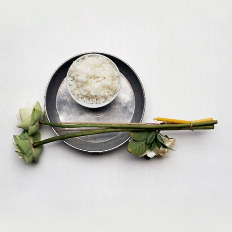 [lotus chef[3].jpg]