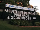 Faculté De Medecine