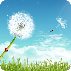 Dandelion Lock.apk 1.3