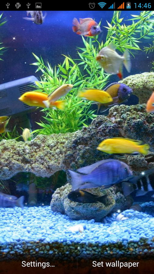 Aquarium Live Wallpaper - screenshot