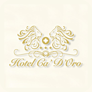 Hotel Ca'D'oro 1