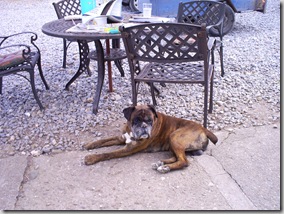 Ireland Summer 2008 020