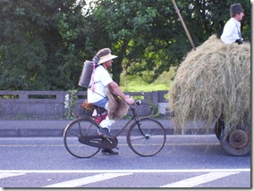 Ireland Summer 2008 009