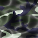 Camouflage Reflections