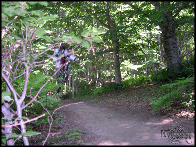 DSCN0005.JPG