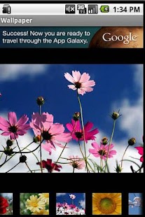 Download Flower Wallpapers APK for Android