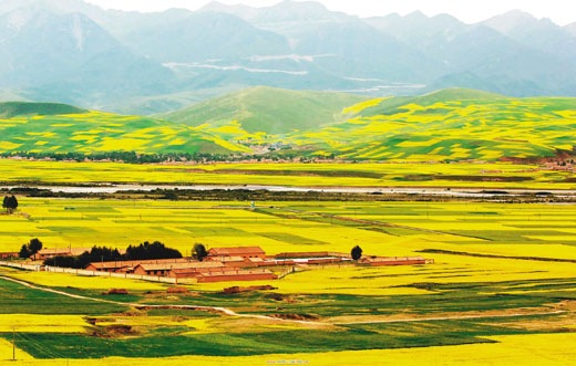 [clip_image001[3].jpg]