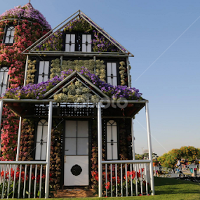 Dubai Miracle Garden by Manoj Ojha - City,  Street & Park City Parks