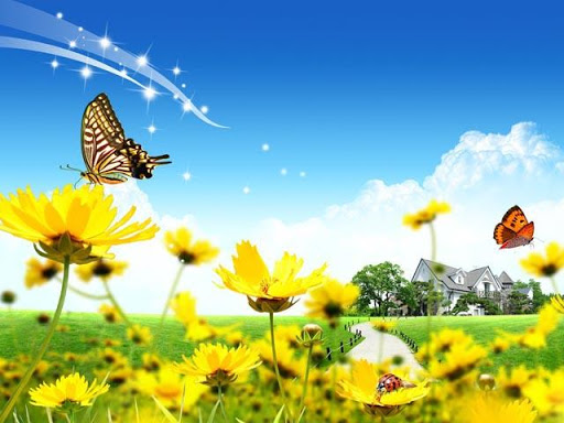 Butterfly Spring II Wallpapers