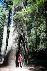 IMG_2475.jpg