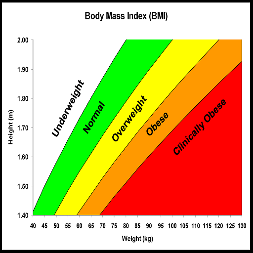 Body Mass Adiposity Index