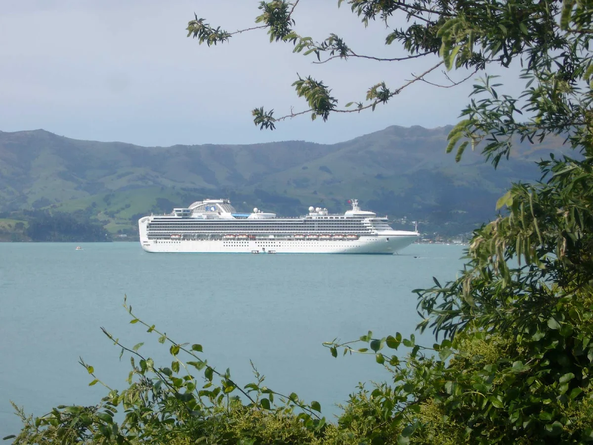 Sapphire-Princess-Akaroa-New-Zealand - Sapphire Princess in Akaroa Harbour, New Zealand.