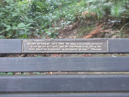 Mark Poitras Memorial Bench
