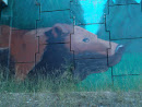 Bear Graffiti