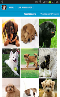 Free Download Cute Puppies Wallpapers APK for Android