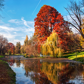 by Nedelcu Valeriu - City,  Street & Park City Parks