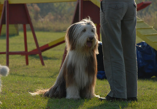 DSC_0036.JPG