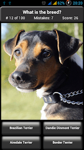  Dog Breed Quiz  