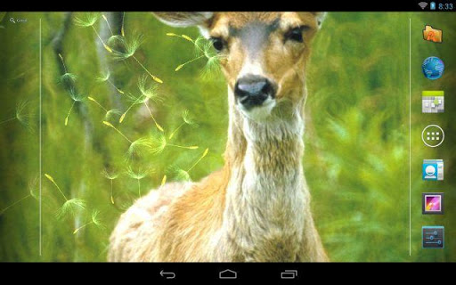 【免費個人化App】Deer Live Wallpaper ★-APP點子