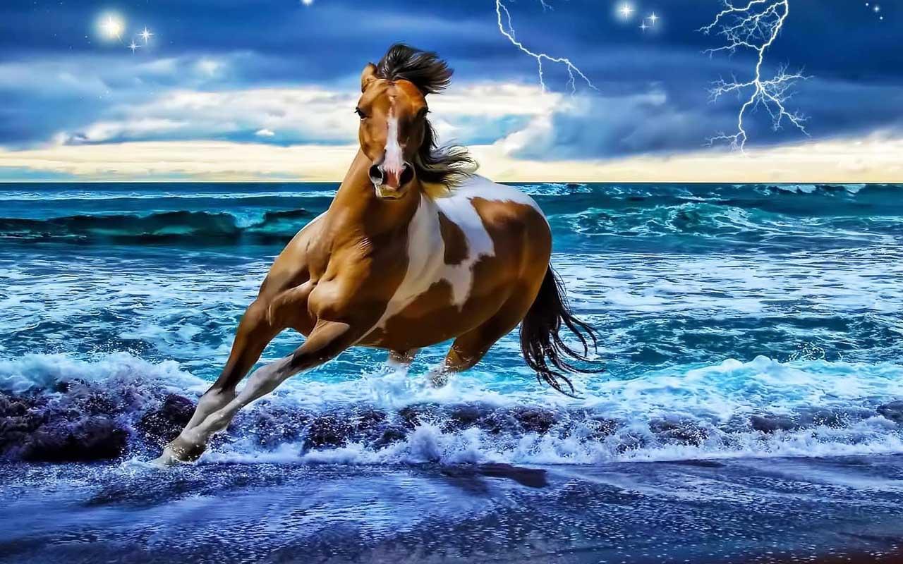 Horse Wallpaper Android Apps On Google Play