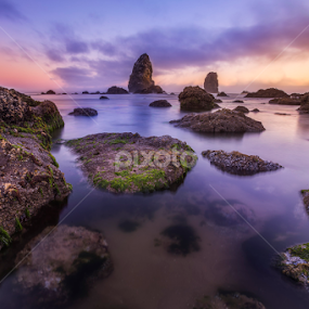 Fantasy tidepools by Nick Page - Landscapes Waterscapes