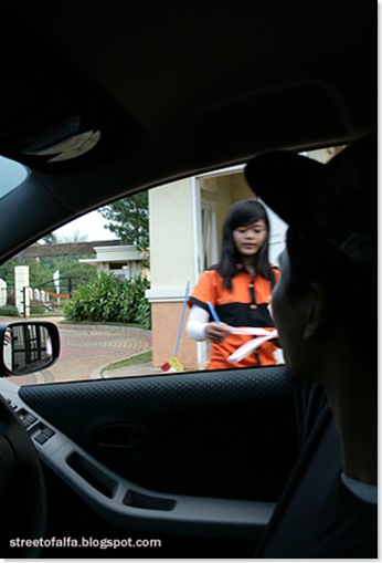 parkinggirl
