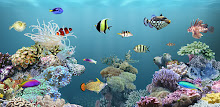aniPet Marine Aquarium HD APK