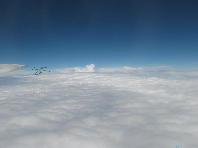 [IMG_01973.jpg]