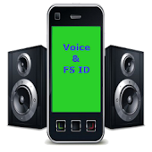 Voice Full Screen Caller id